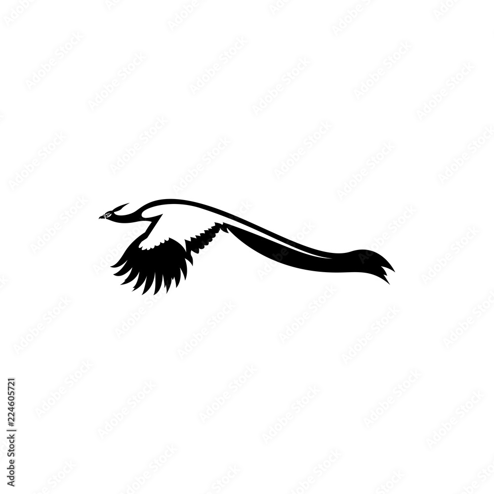 peacock vector silhouette peacock vector silhouette