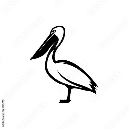 pelican vector silhouette