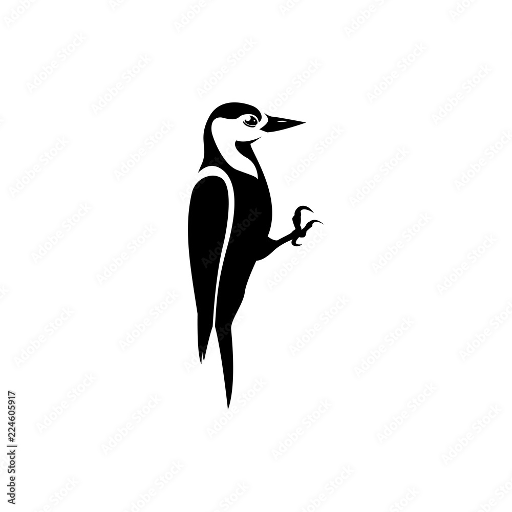 Fototapeta premium woodpecker vector silhouette