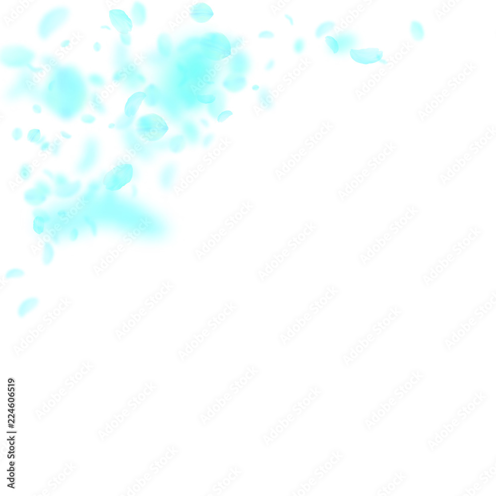 Turquoise flower petals falling down. Resplendent romantic flowers corner. Flying petal on white squ Turquoise flower petals falling down. Resplendent romantic flowers corner. Flying petal on white squ