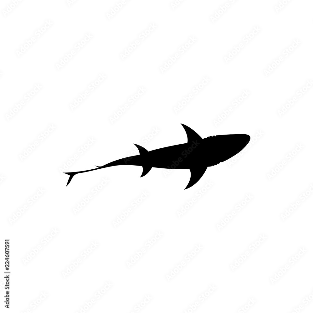 Fototapeta premium shark vector silhouette