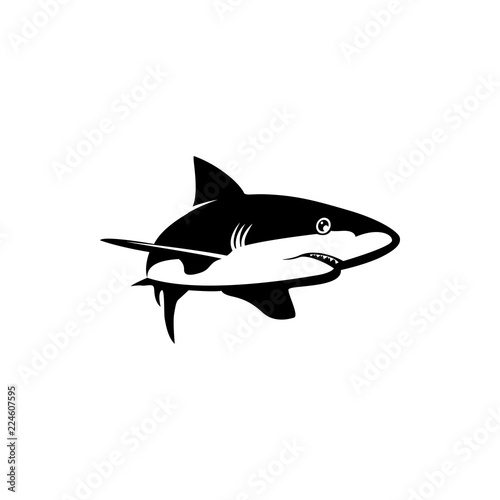 shark vector silhouette