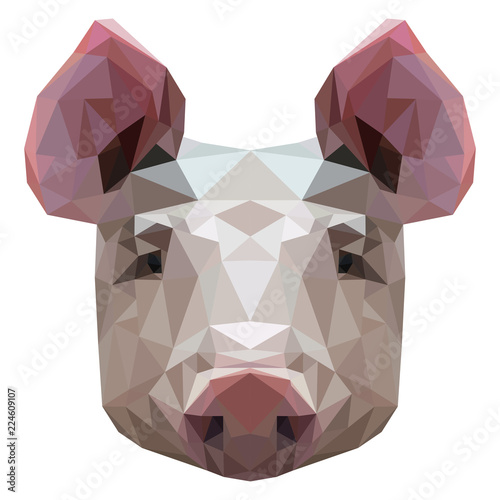 Pig Geometric vector, low poly illustration