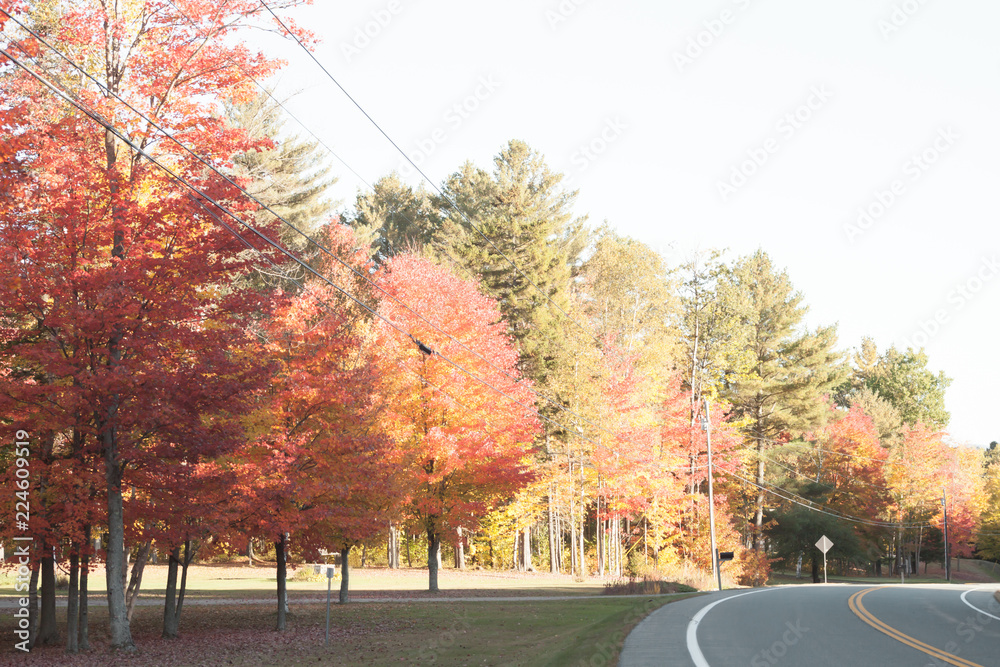 Obraz premium Fall, autumn