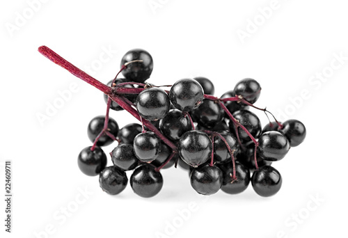 Elderberries with twig isolated on white background