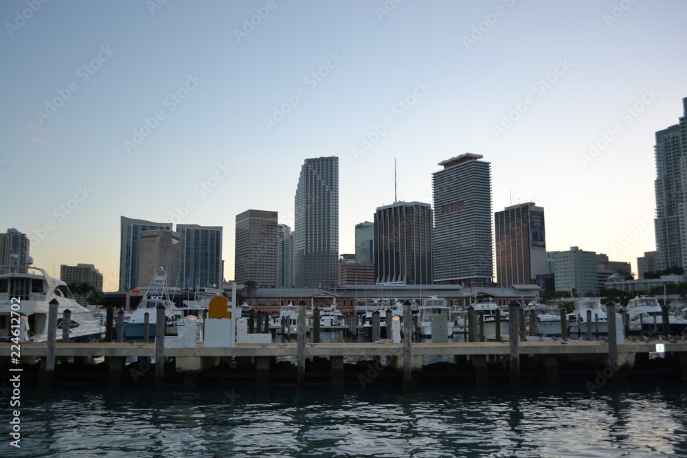 Naklejka premium big city