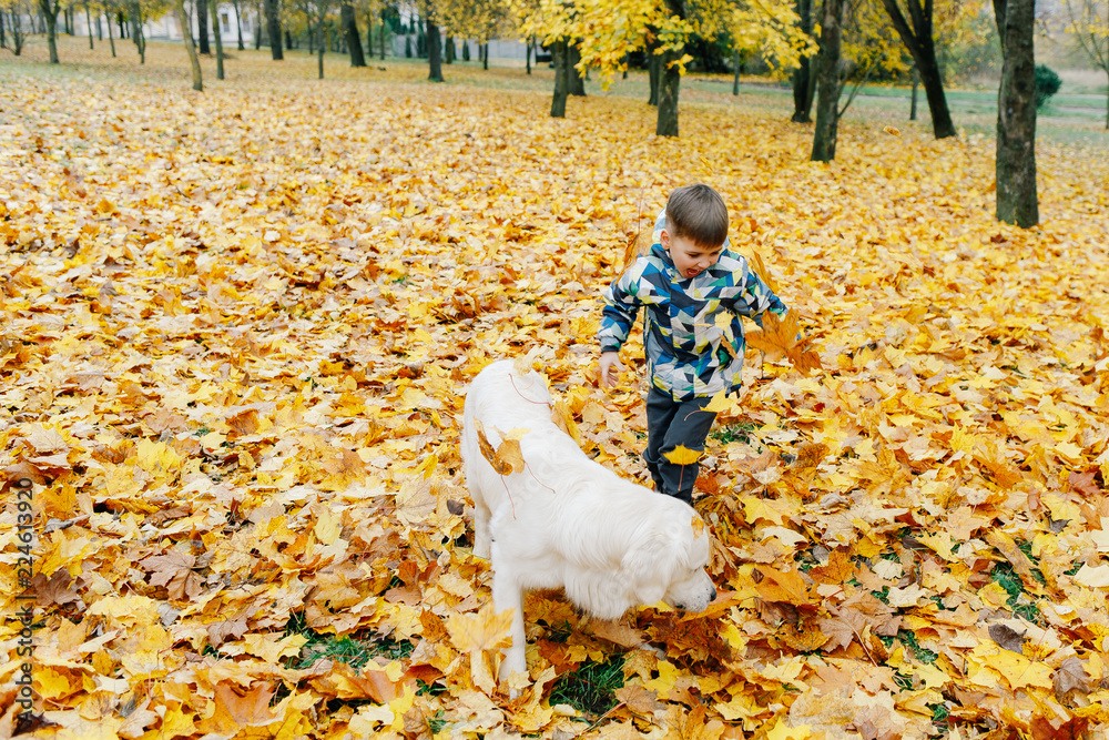 boy playing fun with a dog in an autumn park boy playing fun with a dog in an autumn park