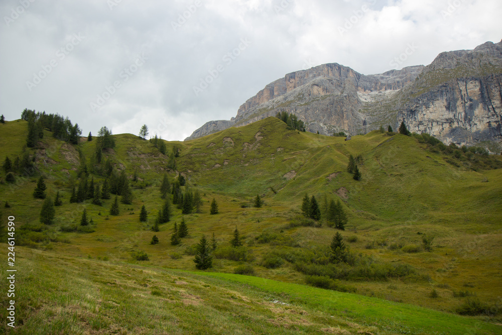 Naklejka premium pastures in Alps, South Tirol, Italy