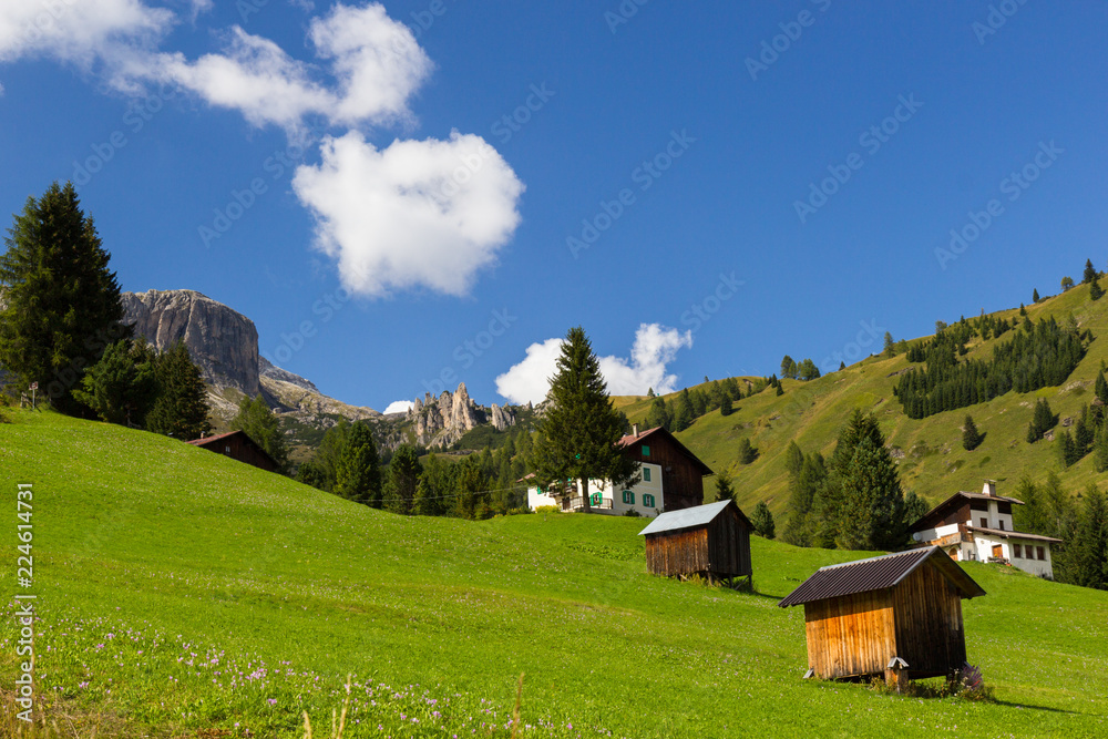 pastures in Alps, South Tirol, Italy