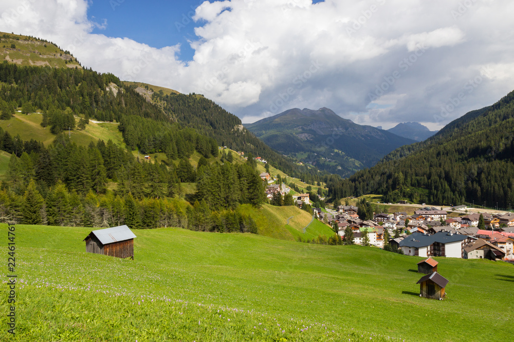 pastures in Alps, South Tirol, Italy