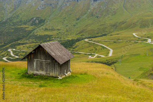 pastures in Alps, South Tirol, Italy