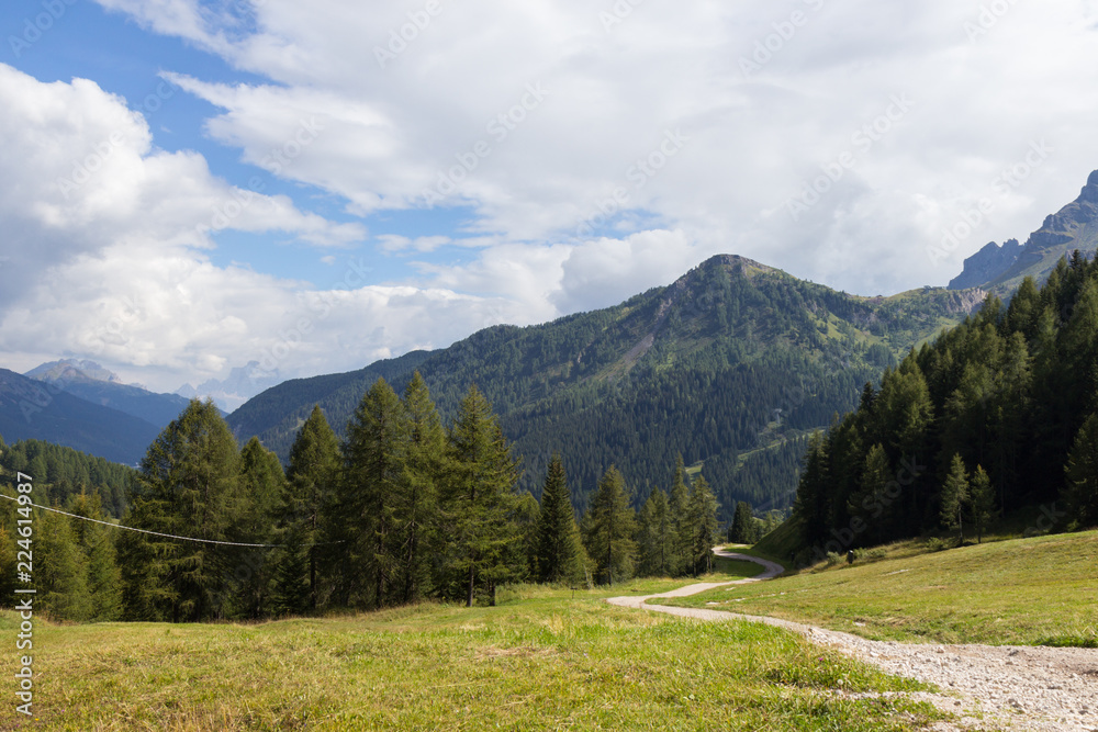 pastures in Alps, South Tirol, Italy