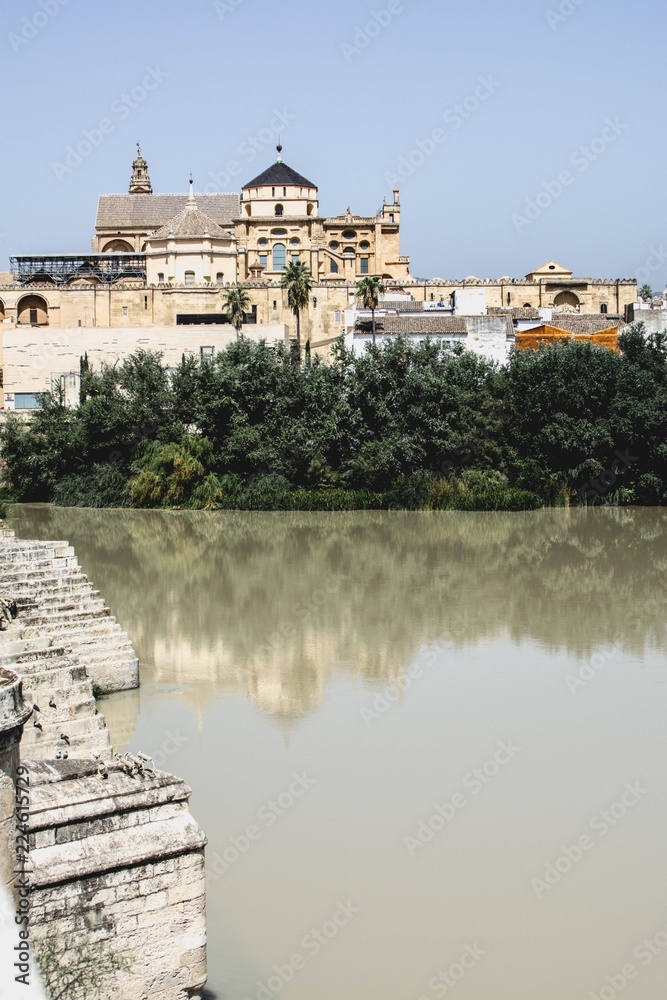 Panoramic view of Mosque-Cathedral of Córdoba, Andalusia, Spain