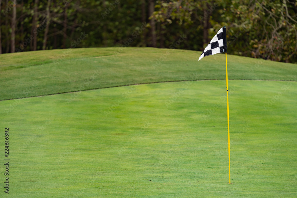 Obraz premium Black and white checkered flag blowing on a beautifully manicured golf course with copy space