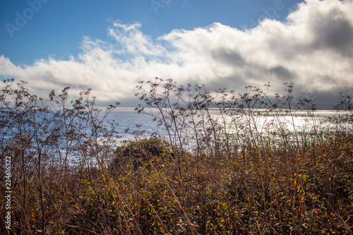 Coast Highway