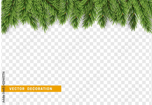 Christmas border with fir branches. Isolated on transparent background. Xmas vector illustration