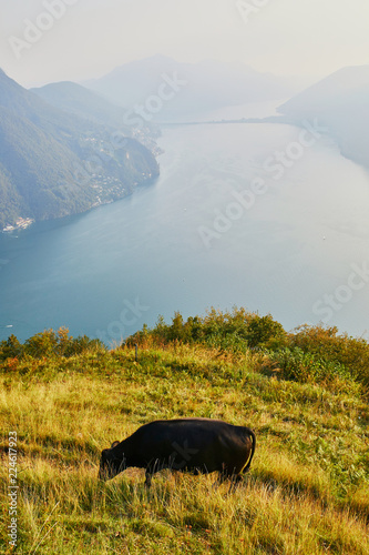 View to lake Lugano from Monte Bre in Lugano  Switzerland