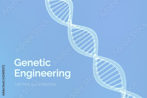 DNA sequence. Wireframe DNA molecules structure mesh. DNA code editable template. Science and Technology concept. Vector illustration.