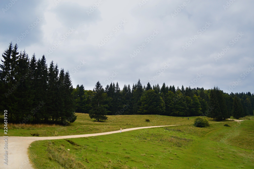 Naklejka premium Mountain landscape