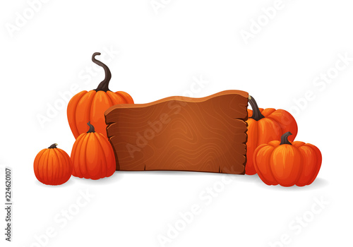 Wooden signboard, banner, icon design with ripe orange pumpkins on both sides isolated on a white background.