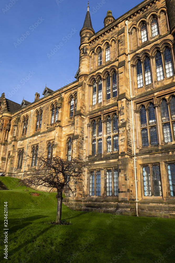 Glasgow University on a sunny day with a tree outside