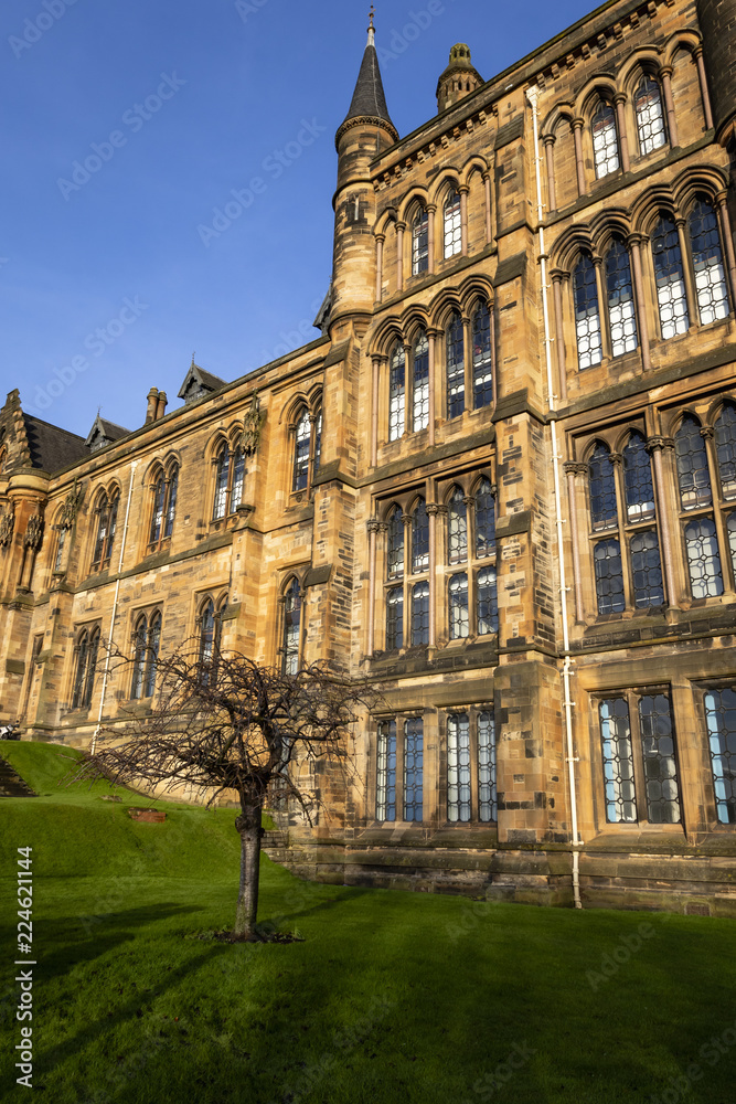 Glasgow University on a sunny day with a tree outside Glasgow University on a sunny day with a tree outside