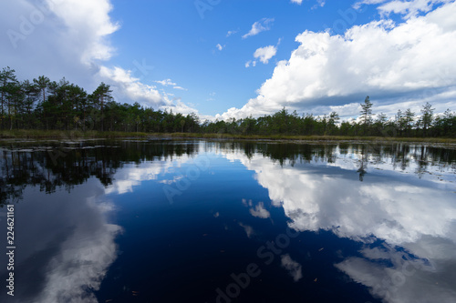 Colorful summer holiday park background with green grass under the blue sky and sharp clouds reflecting on the water with copy space