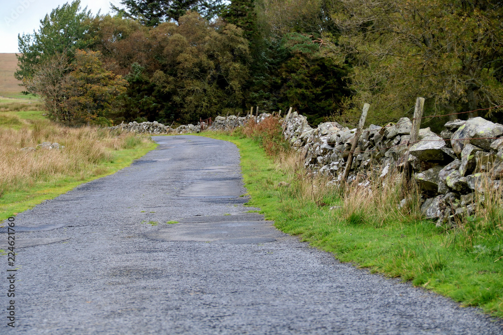 Obraz premium Country Road with Stone Wall and Old Wire Fence
