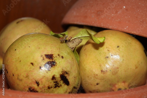 pomegranate