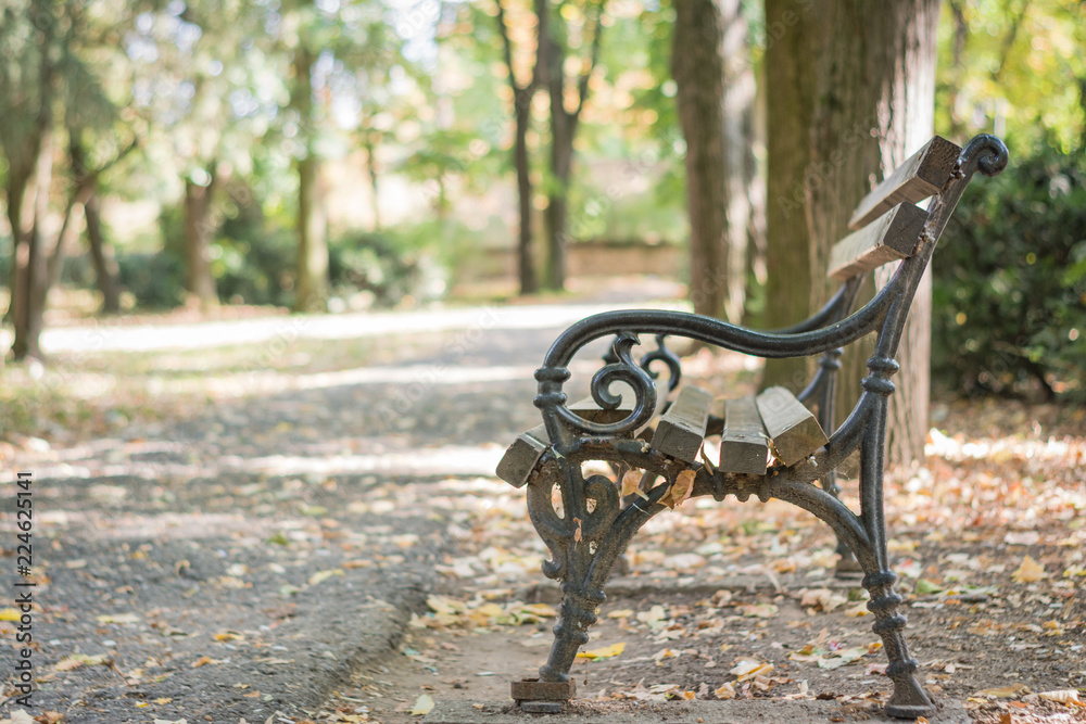Wooden empty bench in the autumn park, autumn landscape Wooden empty bench in the autumn park, autumn landscape