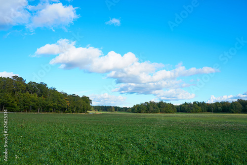  A green field under a blue sky with clouds. Natural background. 