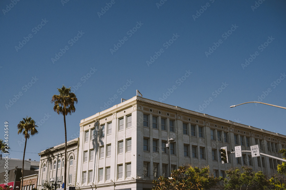 Commercial buildings on a sunny day with palm trees and blue sky