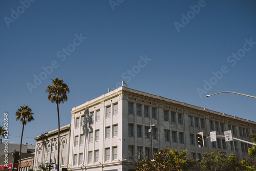 Commercial buildings on a sunny day with palm trees and blue sky © Aaron