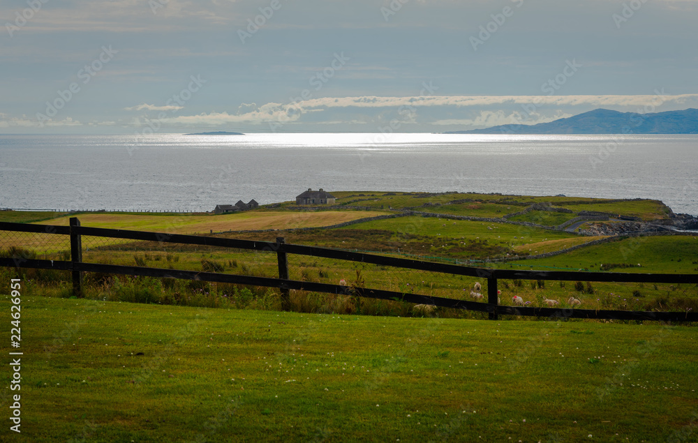 Sheep Farm Looks over the Irish Sea