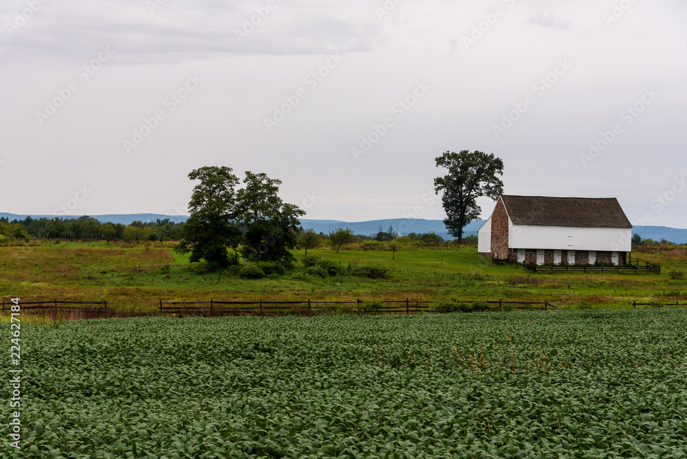 Obraz premium A White Barn