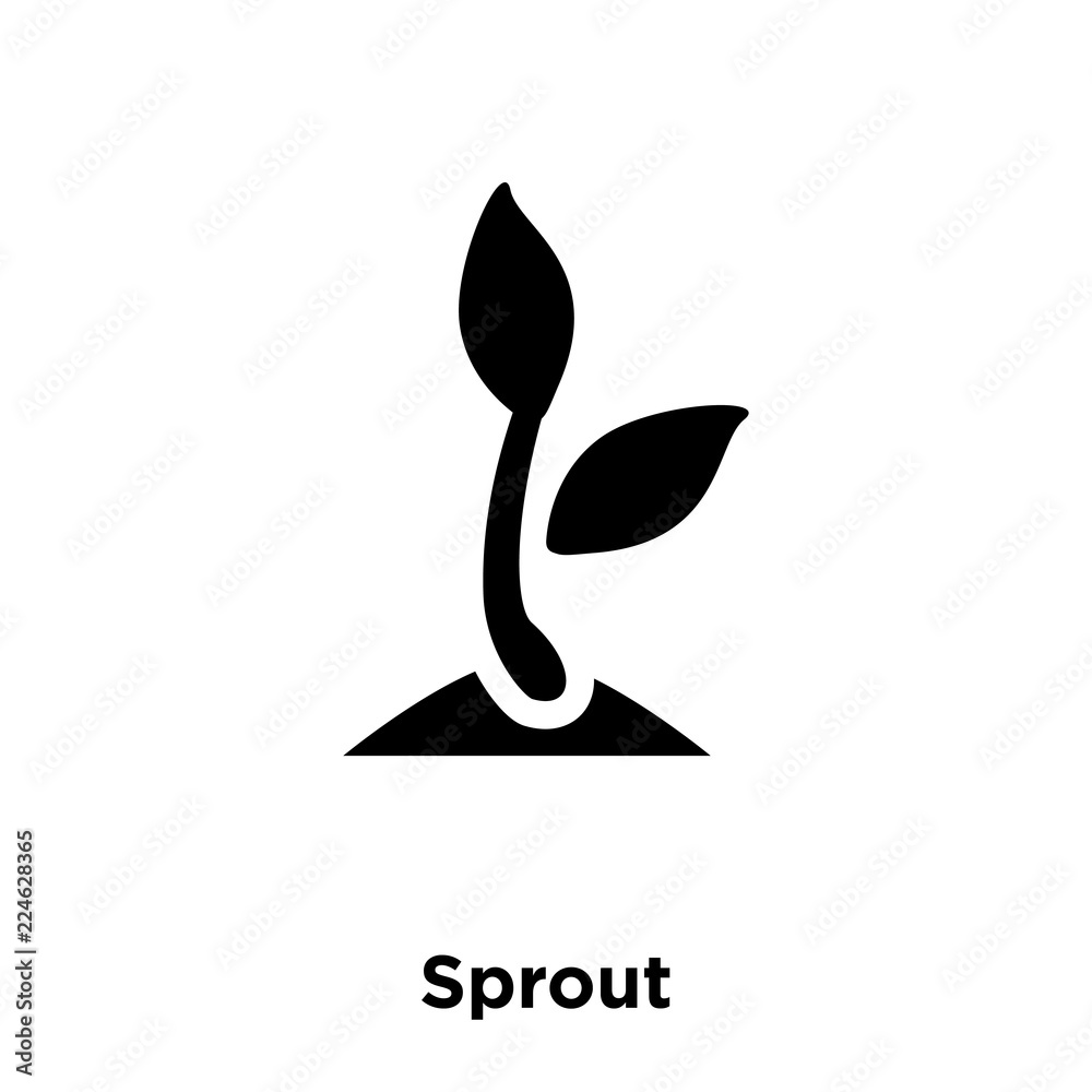 sprout icon vector isolated on white background, logo concept of sprout sign on transparent background, black filled symbol icon sprout icon vector isolated on white background, logo concept of sprout sign on transparent background, black filled symbol icon