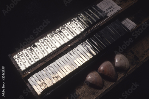 伝統工芸の墨の製品のつやだし作業