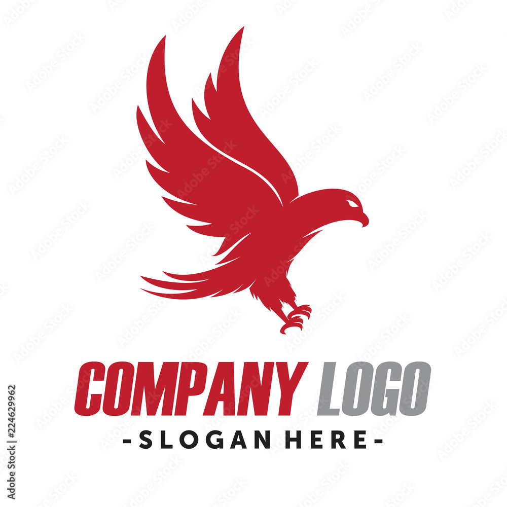 Obraz premium Eagle Logo Design Inspiration Vector