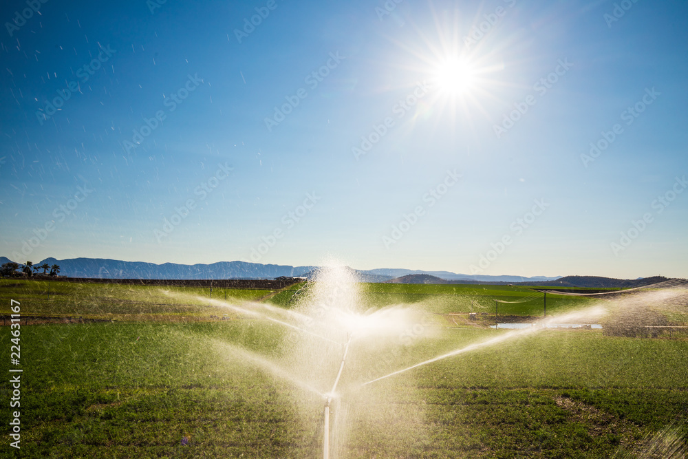 Agricultural Irrigation