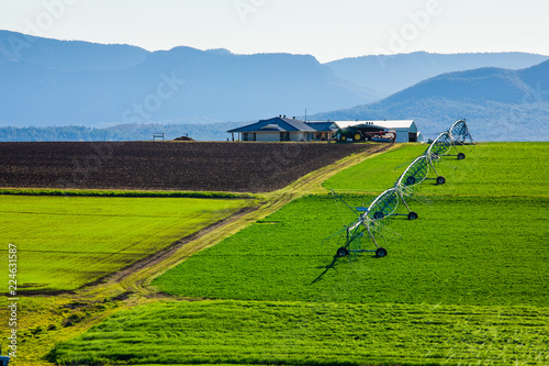 Crop and House