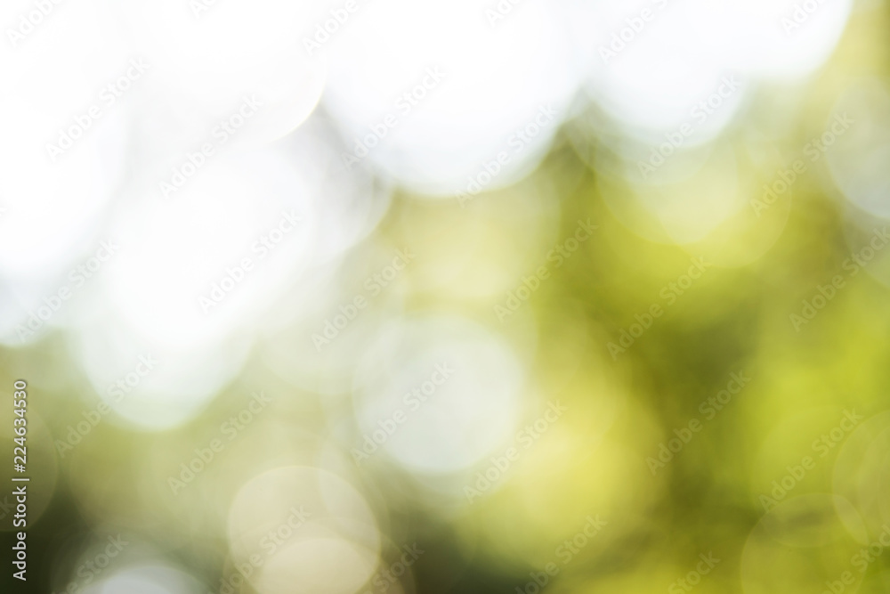Obraz premium Dream Forest/Romantic fantasy background material
