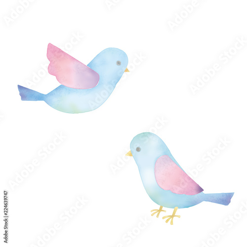 Canvas Print 鳥のイラスト