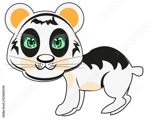 Fototapeta Naklejka Na Ścianę i Meble -  Panda bear on white background is insulated