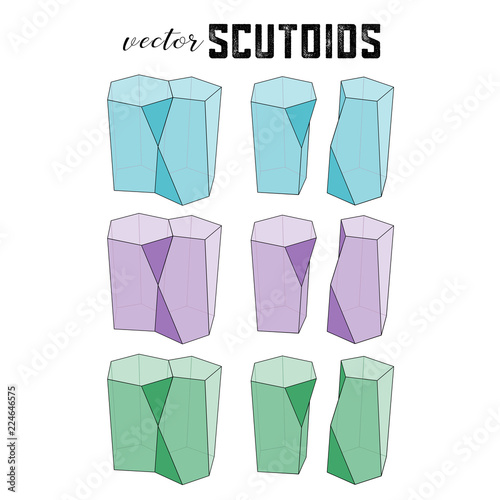 Scutoid, newly described 3 D shape, like cube or sphere, but more a columnar shape, 5 sided at top, 6 sided at bottom, less a triangular wedge, considered a building block of multi cellular organisms