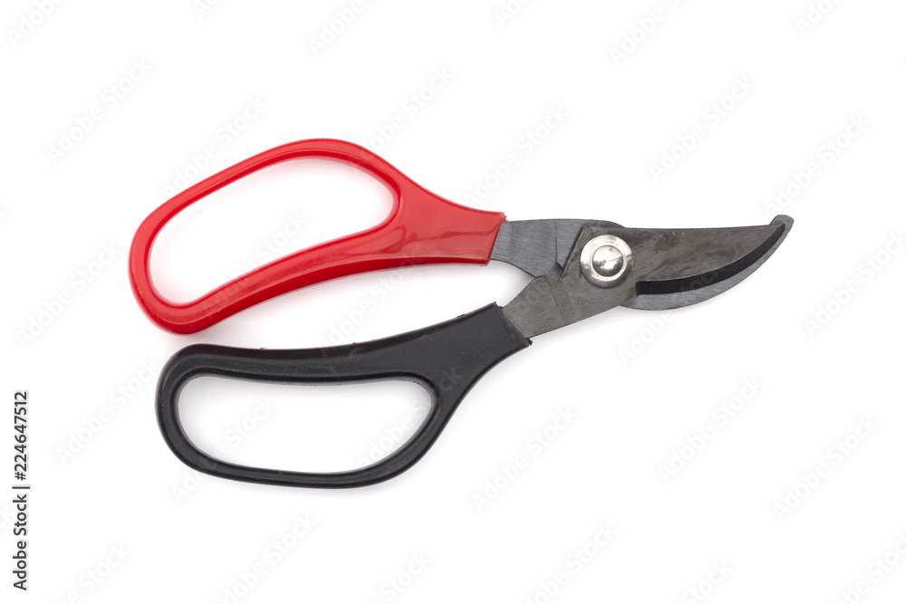 Scissors cutting the branches on a white background Scissors cutting the branches on a white background