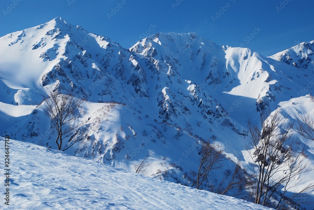 Fototapeta premium Hakuba valley in winter