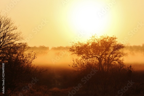 Sunrise in Africa