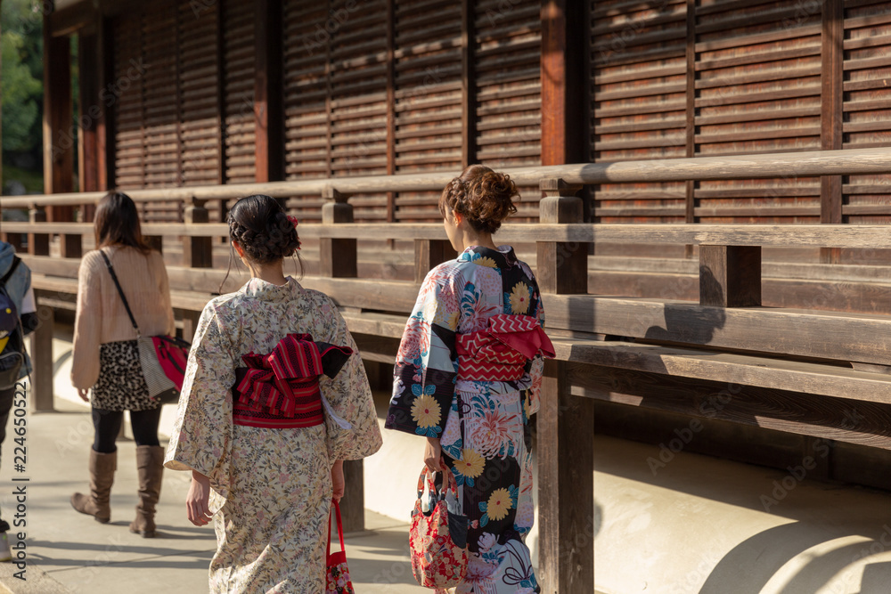 Geisha walking in Kyoto