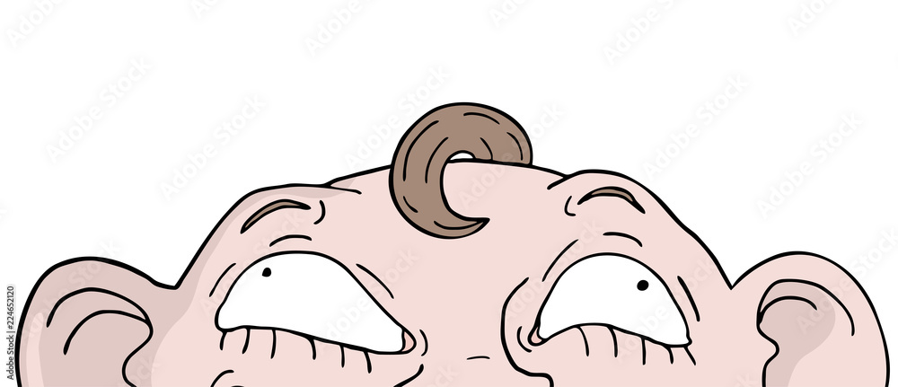 funny face looking funny face looking