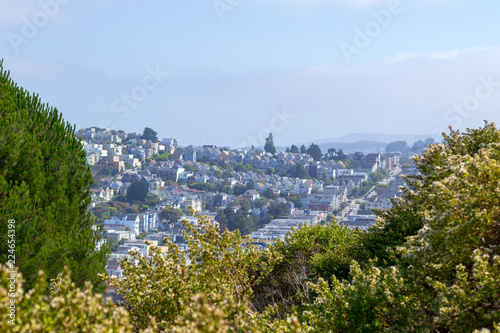 Canvas Print Downtown San Francisco
